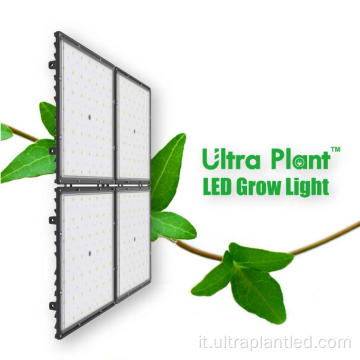 Luce di coltivazione commerciale a spettro completo da 300 W